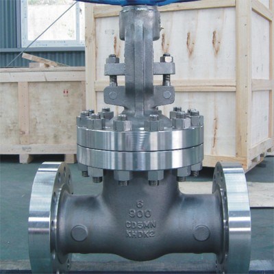 Cryogenic Gate Valve